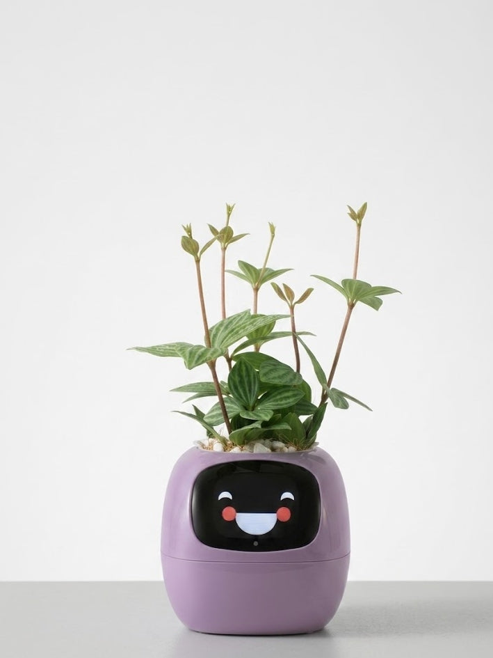 PlantaVero - AI Smart Planter