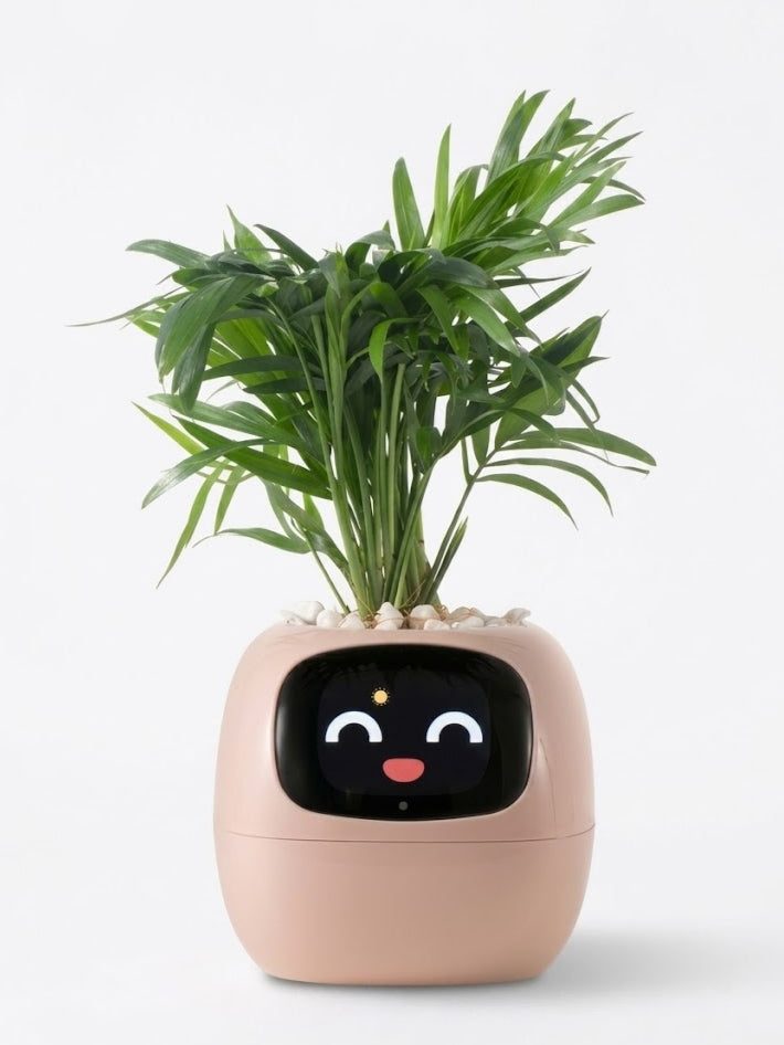 PlantaVero - AI Smart Planter