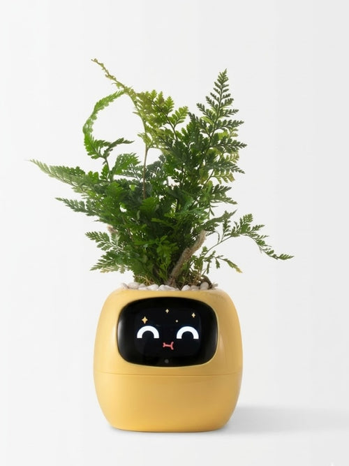 PlantaVero - AI Smart Planter