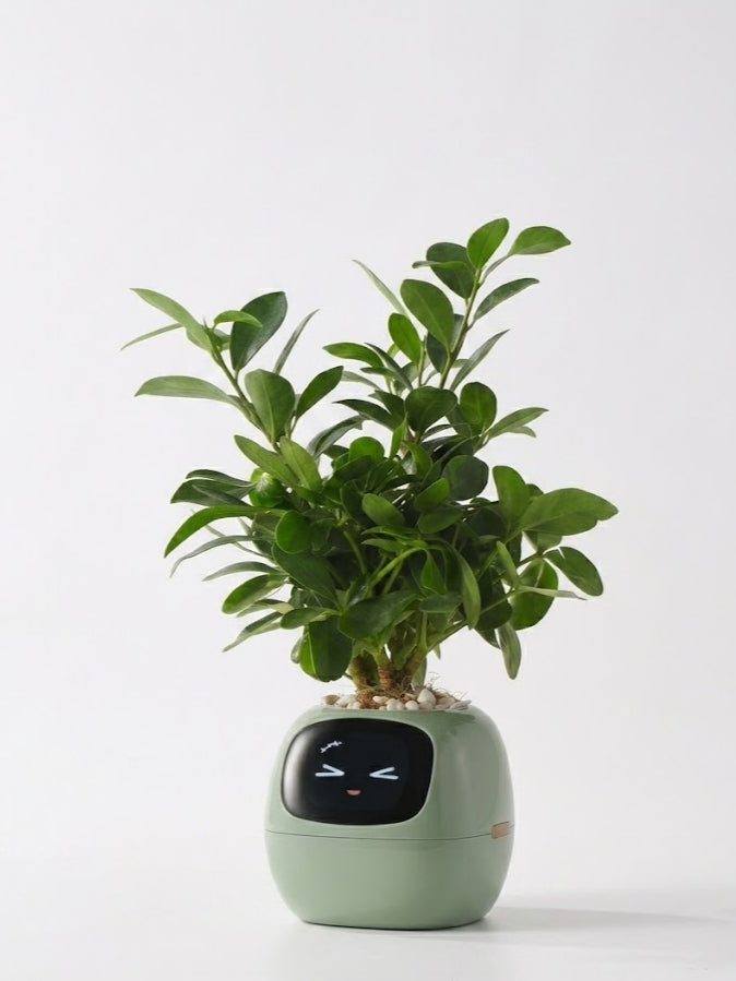 PlantaVero - AI Smart Planter